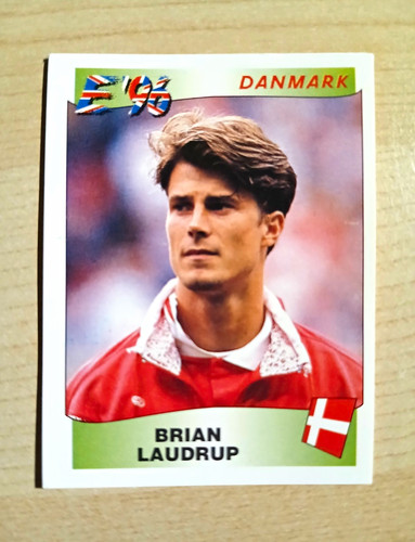 Panini euro 1996 brian - euro,