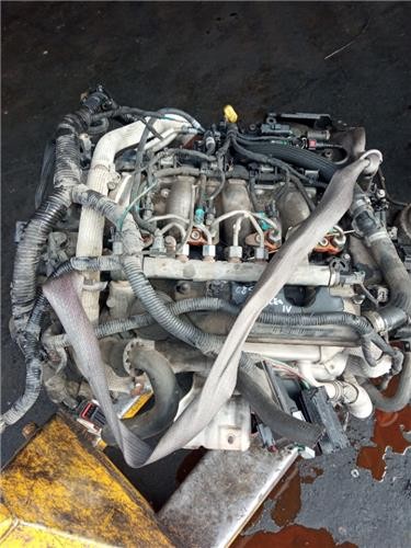 Motor ford tdci q4ba 2008 - tdci,