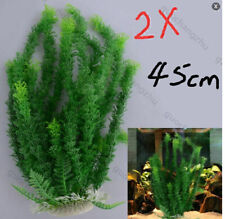 2X XL Aquariumpflanzen