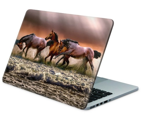 Universal laptop skin - laptop, notebook