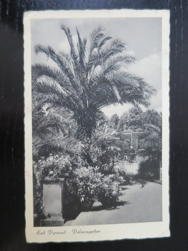 Bad pyrmont palmengarten - pyrmont,
