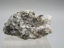 Nifontovit Charkas San Luis