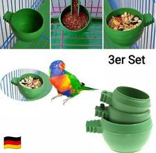 Mini Vogel🐦Sittich