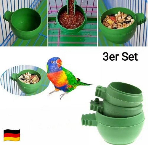 Mini vogel sittich - mini, vogel🐦sittich