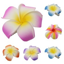 Plumeria hair clip hair clip