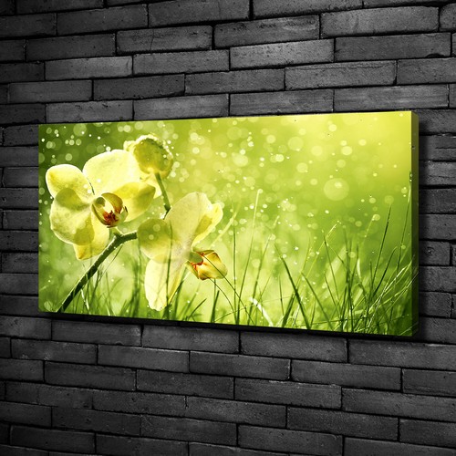 Leinwandbild kunst druck - leinwandbild, kunst-druck