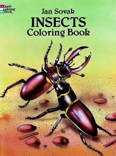 Jan sovak insects coloring - jan,