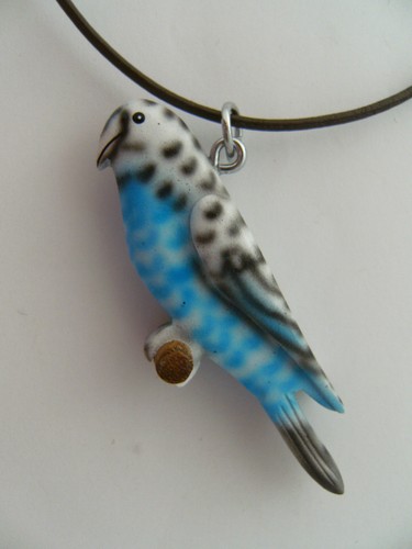 Kette wellensittich frischling - kette,