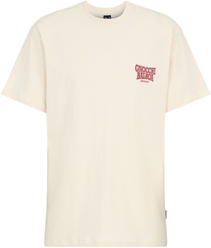 Iriedaily shirt tshirt - shirt,