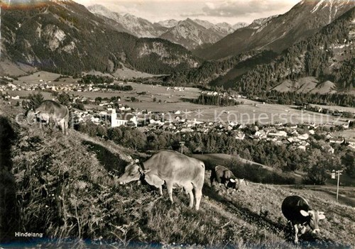 Hindelang kuehe - hindelang,