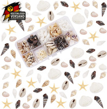 Muscheln Bastelset 200 Stück