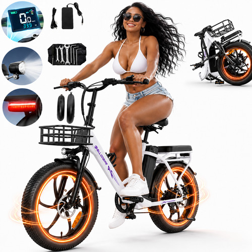 Zoll elektrofahrrad 48v - zoll,