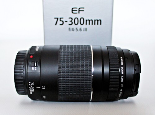 Canon objektiv 300mm - ef, 75-300mm