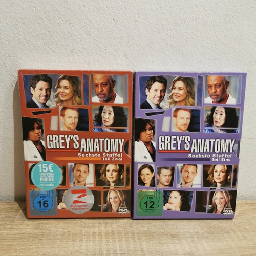 Grey anatomy staffel 6 - anatomy,