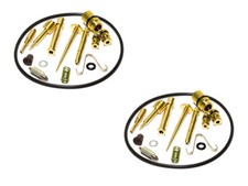 Vergaser Reparatur Satz 2