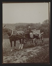 7382a❚ original Foto von 1909, Kutsche Pferdekutsche aus Fotoalbum von Thüringen