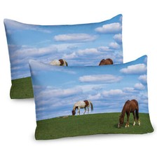 Pferde auf der Weide Wiese 2