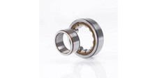 Skf zylinderrollenlager nu215 - skf,