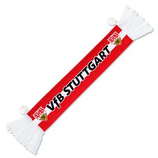 VfB Stuttgart Autoschal