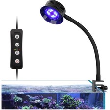 Meerwasser Aquarium LED