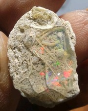 Unique Äthiopische Multicolour  Opal, Opale 13ct Nrf mit Video 