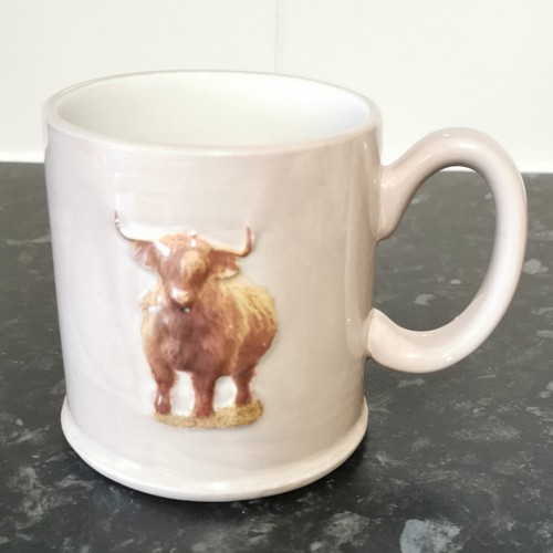 Highland cow becher the - the, old