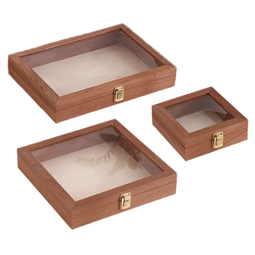 Insekten sammelbox boxen - insekten-sammelbox,,