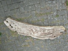 Eichenbalken Fachwerk Kopfband Holz Balken  original unbehandelt