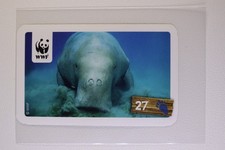 Tier - Abenteuer Entdecke sie