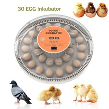 30 Eier Brutautomat