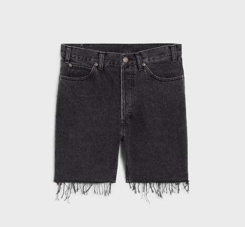 Celine paris hedi slimane - celine, x