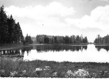 Neudorf AK Harz, Birnbaumteich, Foto DDR, um 1960, ungelaufen