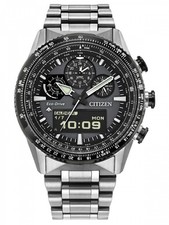 Citizen JV2006-55H Promaster