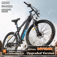 29 Zoll E-Bike M920 250W