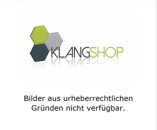 Bowers wilkins zeppelin - &,