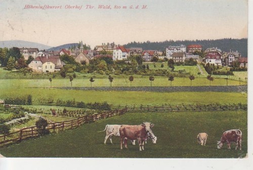 Oberhof panorama gl1926 313 - panorama,