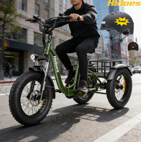 750w rädern fahrrad - 750w,