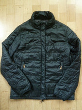 Fjäll räven damen - räven, "keb