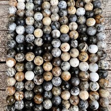 Echte Dendritischer Schwarzer