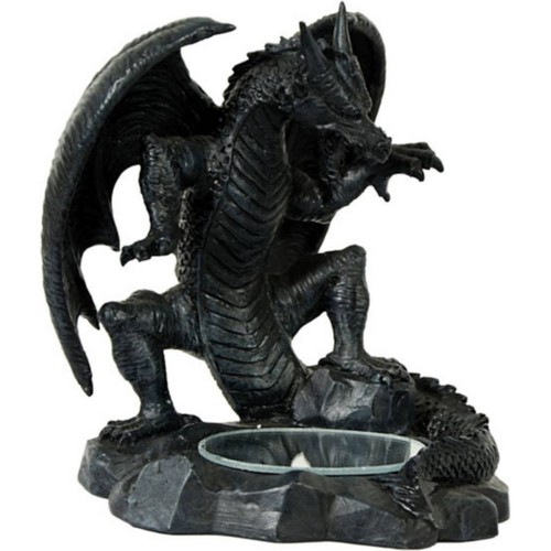 Drache schaut spiegel - in,