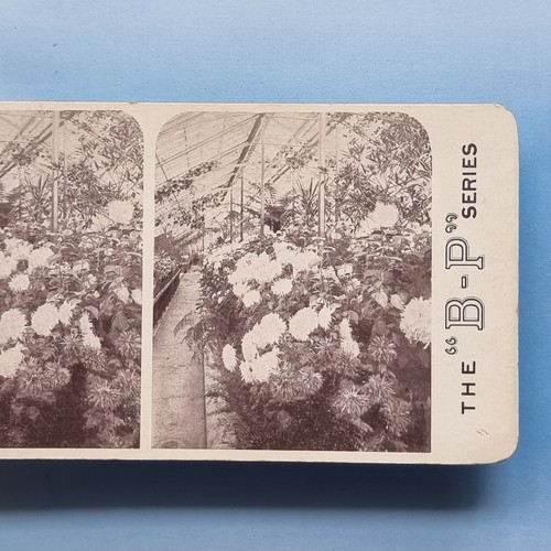 Stereoview karte 1900 - stereoview,