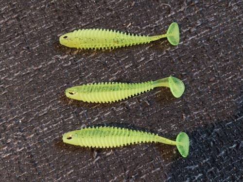 Köderfische neon für - köderfische,