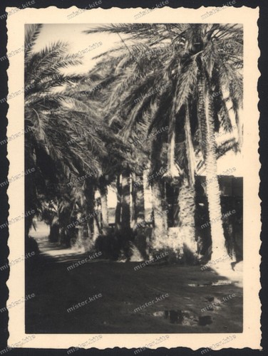 Agrigento-dintorni-Sizilien-Lu