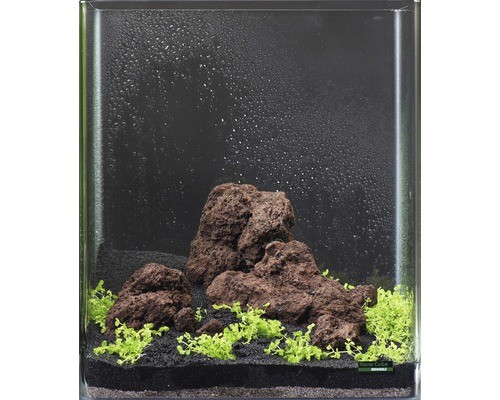 Aquarien-Wasserpflanzenpaket