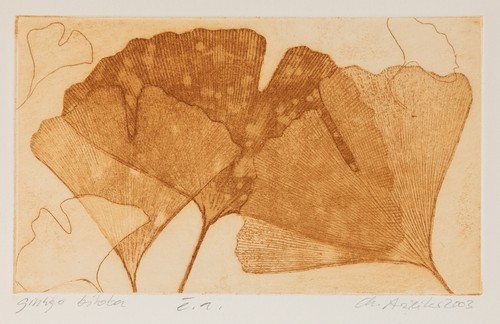 Christine arweiler ginkgo - christine,