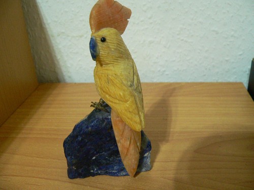 Vogel wasservogel - vogel,