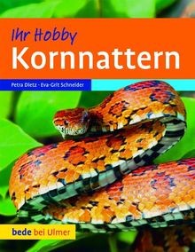 Kornnattern von dietz petra - kornnattern,