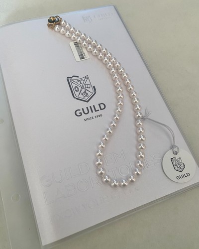 4300 gilde zertifizierte - £4300, gilde-zertifizierte