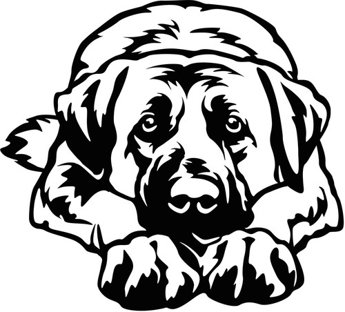 Kangal aufkleber - kangal,