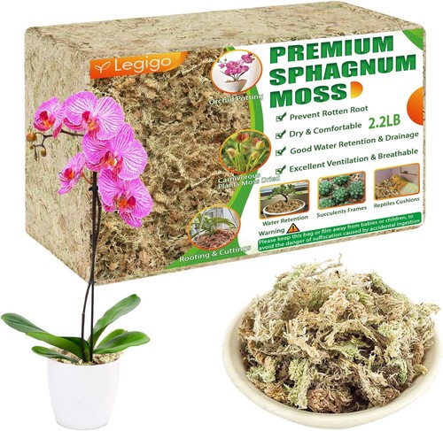 Sphagnummoos 1kg orchideenmoos - 1kg,